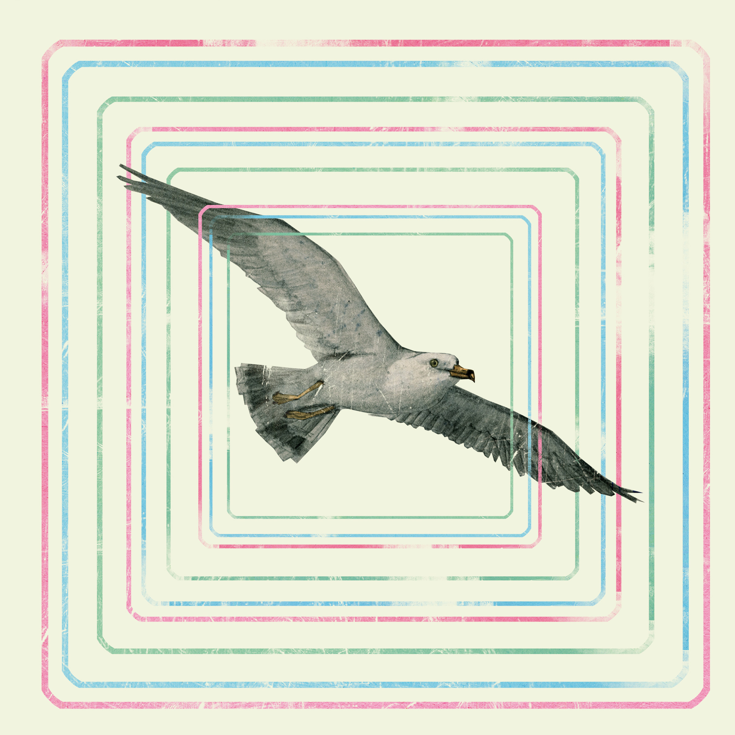 Gisbert zu Knyphausen