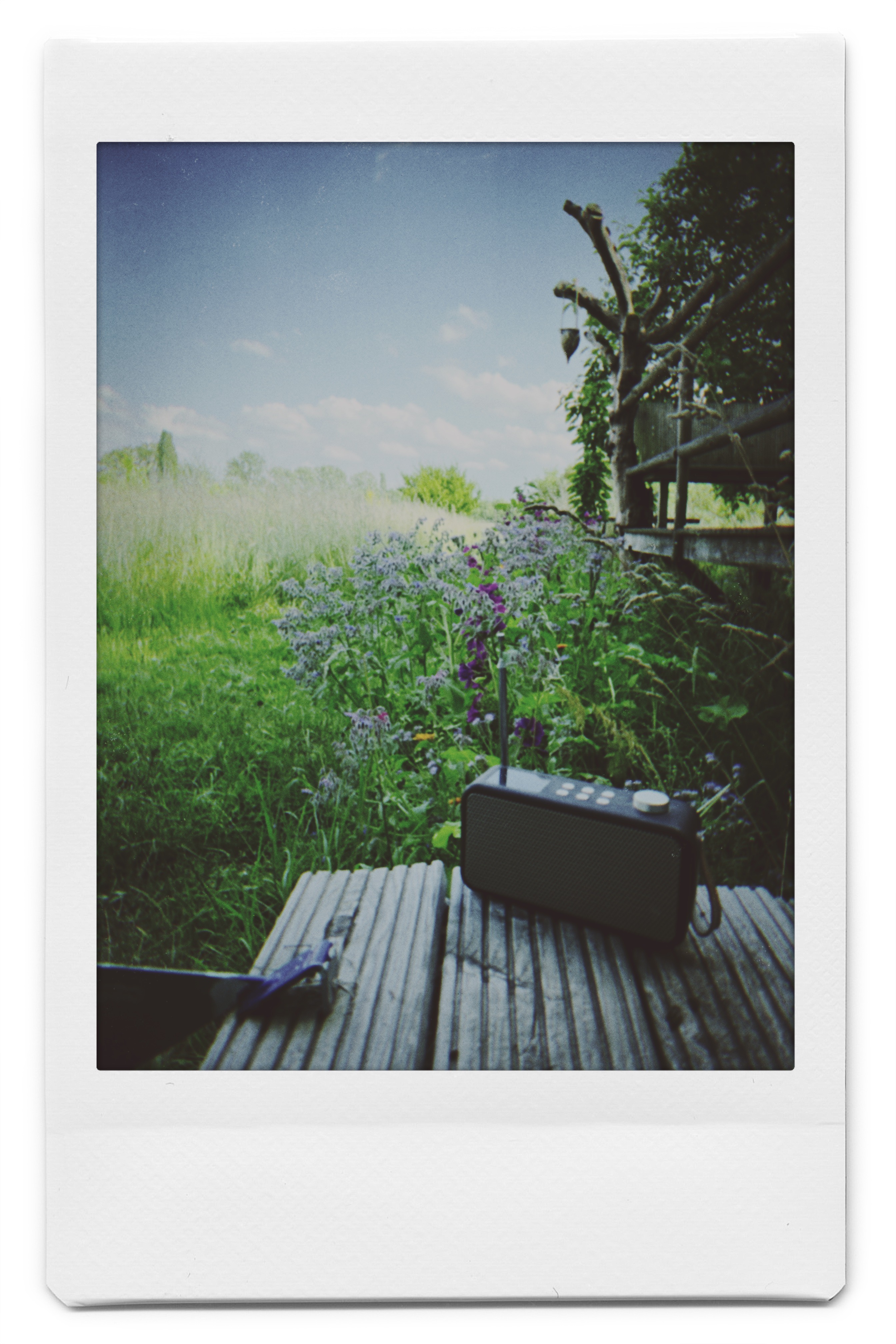 Gisbert zu Knyphausen